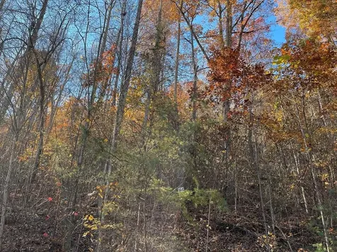 36 54c Ash Branch Circle Hayesville NC 28904