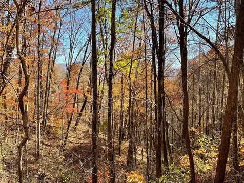 36 54c Ash Branch Circle Hayesville NC 28904