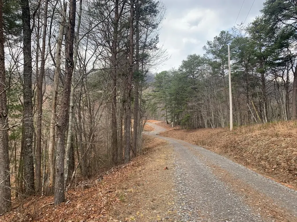 Lot 20 Wolf Ridge Lane Murphy NC 28906