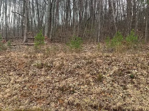 Lot 20 Wolf Ridge Lane Murphy NC 28906