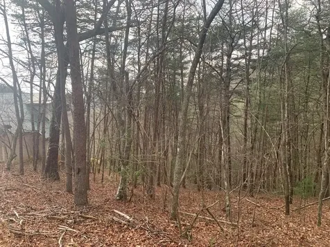 Lot 20 Wolf Ridge Lane Murphy NC 28906