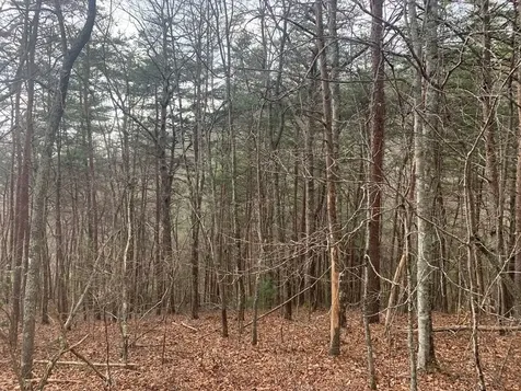 Lot 20 Wolf Ridge Lane Murphy NC 28906