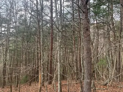 Lot 20 Wolf Ridge Lane Murphy NC 28906