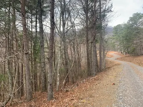 Lot 20 Wolf Ridge Lane Murphy NC 28906