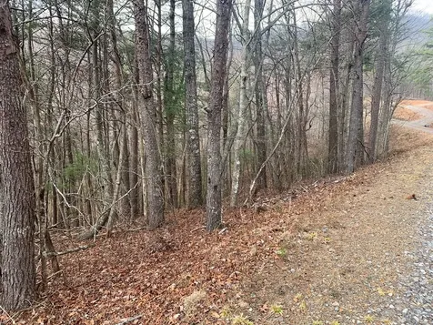 Lot 20 Wolf Ridge Lane Murphy NC 28906