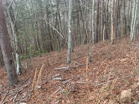 Lot 20 Wolf Ridge Lane Murphy NC 28906