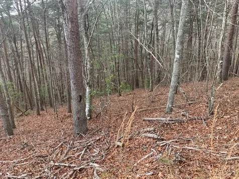 Lot 20 Wolf Ridge Lane Murphy NC 28906