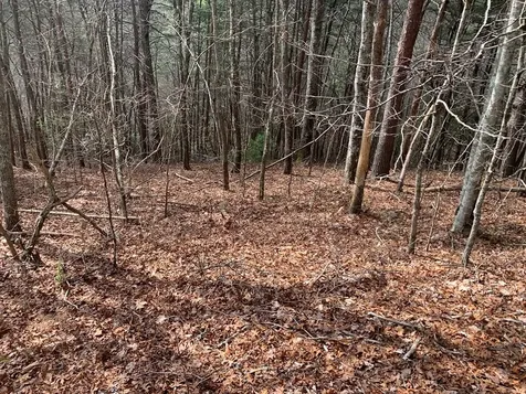 Lot 20 Wolf Ridge Lane Murphy NC 28906