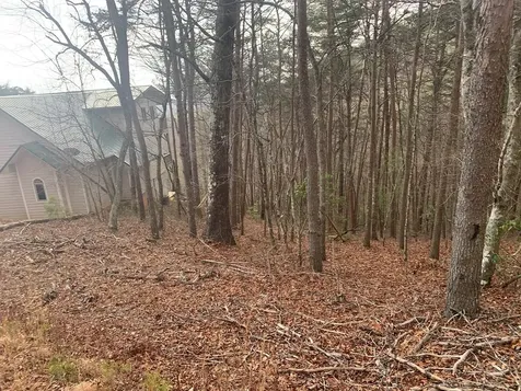 Lot 20 Wolf Ridge Lane Murphy NC 28906
