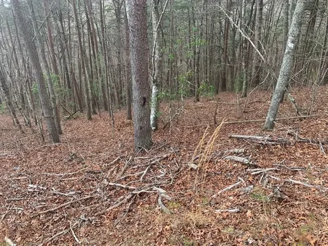 Lot 20 Wolf Ridge Lane Murphy NC 28906