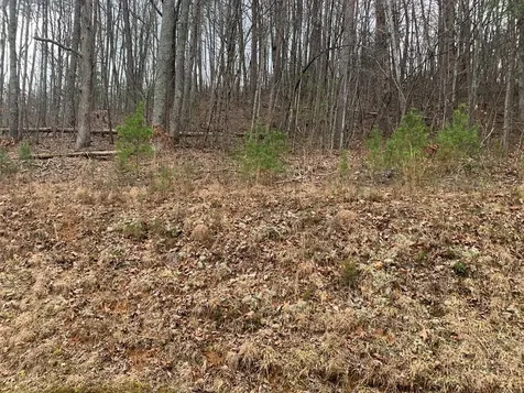 Lot 20 Wolf Ridge Lane Murphy NC 28906