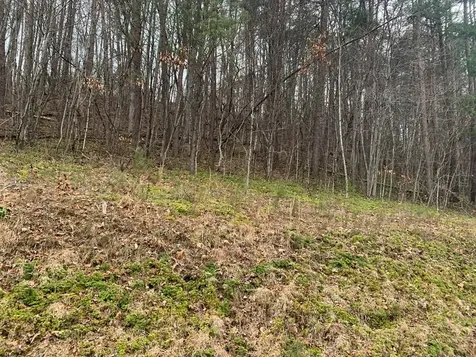 Lot 20 Wolf Ridge Lane Murphy NC 28906