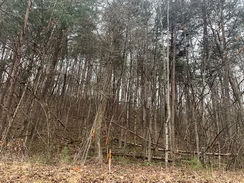 Lot 20 Wolf Ridge Lane Murphy NC 28906