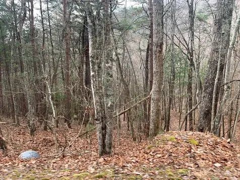 Lot 20 Wolf Ridge Lane Murphy NC 28906