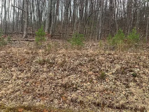 Lot 20 Wolf Ridge Lane Murphy NC 28906