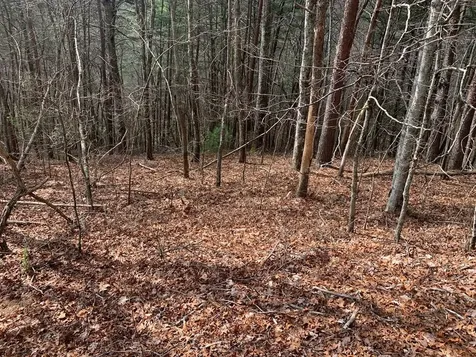 Lot 20 Wolf Ridge Lane Murphy NC 28906