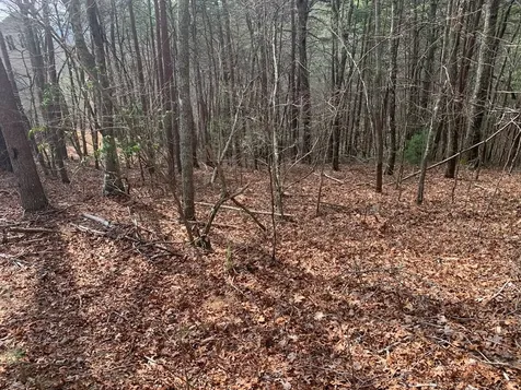 Lot 20 Wolf Ridge Lane Murphy NC 28906