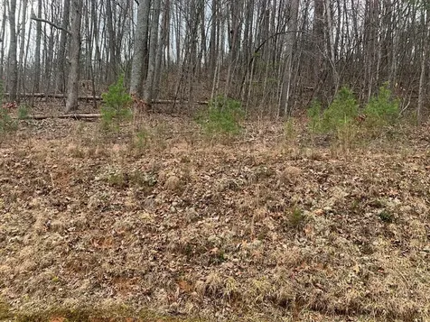Lot 20 Wolf Ridge Lane Murphy NC 28906