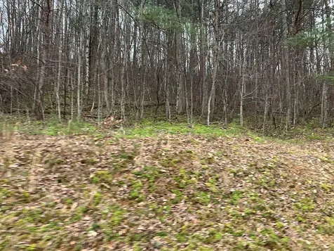 Lot 20 Wolf Ridge Lane Murphy NC 28906