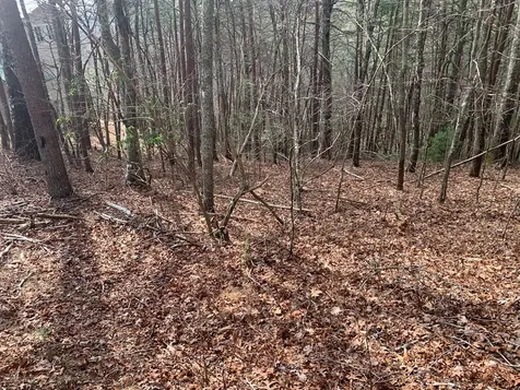 Lot 20 Wolf Ridge Lane Murphy NC 28906