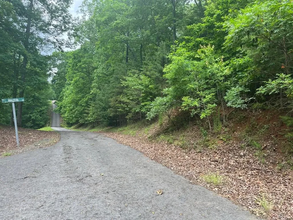 Lot 63 Cirrus Drive Murphy NC 28906