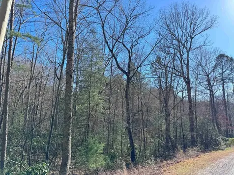 Lot 34c Snowbird Trail Marble NC 28905