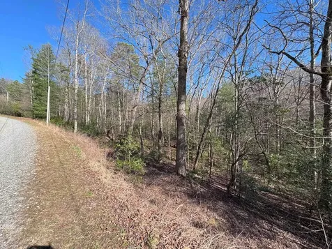 Lot 34c Snowbird Trail Marble NC 28905