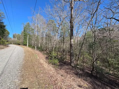 Lot 34b Snowbird Trail Marble NC 28905