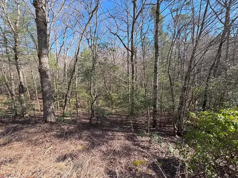 Lot 34b Snowbird Trail Marble NC 28905