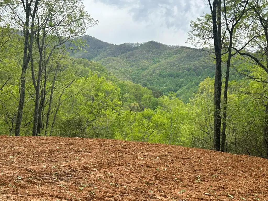 Lot 8 Blackberry Bend Bryson City NC 28713