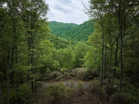Lot 8 Blackberry Bend Bryson City NC 28713