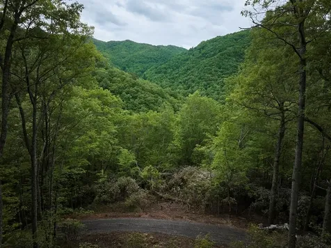 Lot 8 Blackberry Bend Bryson City NC 28713