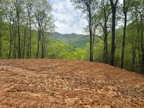 Lot 8 Blackberry Bend Bryson City NC 28713