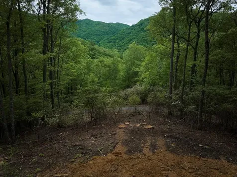 Lot 8 Blackberry Bend Bryson City NC 28713