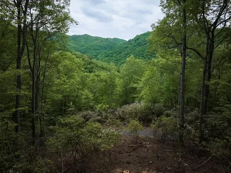 Lot 8 Blackberry Bend Bryson City NC 28713