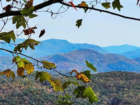 339 Game Trail Drive Brasstown NC 28902