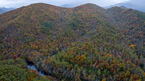 3549 Snowbird Road Robbinsville NC 28771