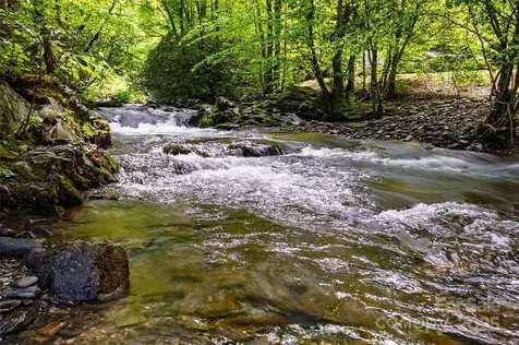 242 Eagles Roost Road Bryson City NC 28713