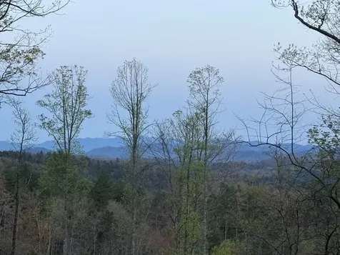3530 Grape Creek Road Murphy NC 28906