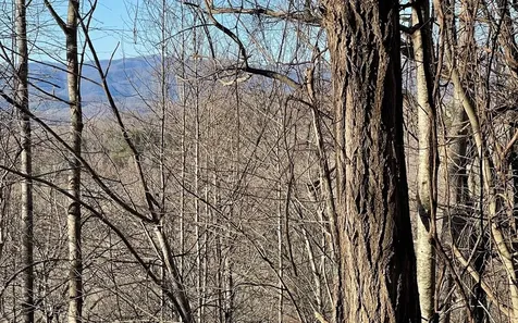 Lot 63 Dan Knob Hayesville NC 28904