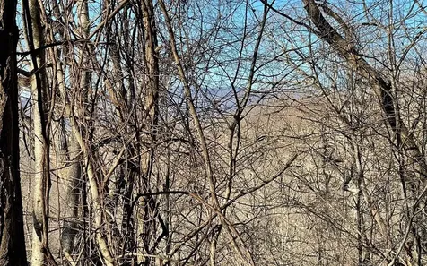 Lot 63 Dan Knob Hayesville NC 28904