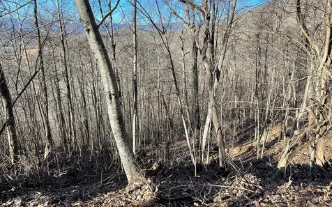 Lot 63 Dan Knob Hayesville NC 28904