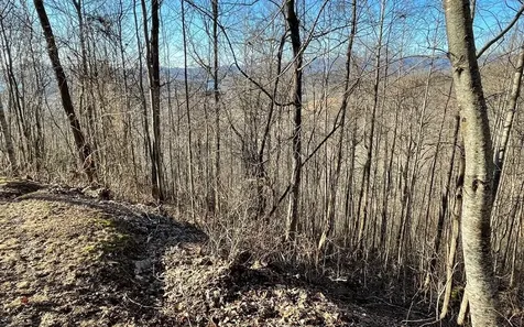 Lot 63 Dan Knob Hayesville NC 28904