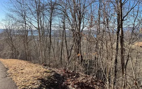 Lot 63 Dan Knob Hayesville NC 28904