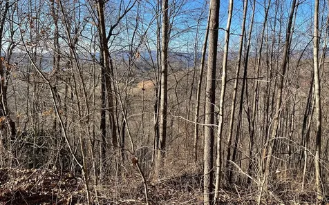 Lot 63 Dan Knob Hayesville NC 28904