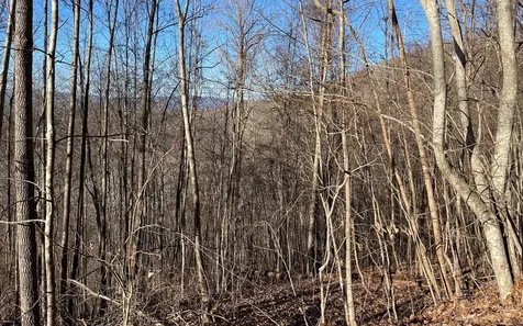 Lot 63 Dan Knob Hayesville NC 28904