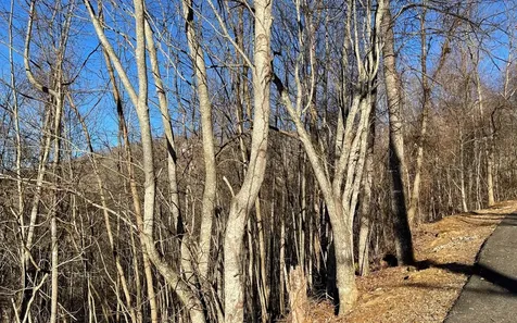 Lot 63 Dan Knob Hayesville NC 28904
