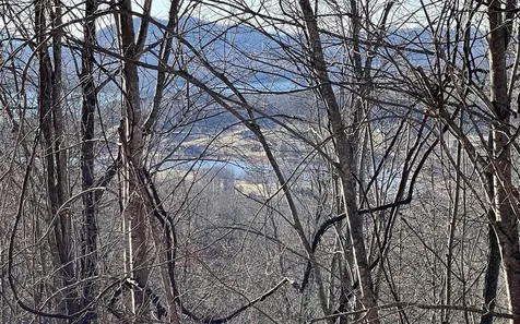 Lot 63 Dan Knob Hayesville NC 28904