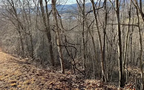 Lot 63 Dan Knob Hayesville NC 28904