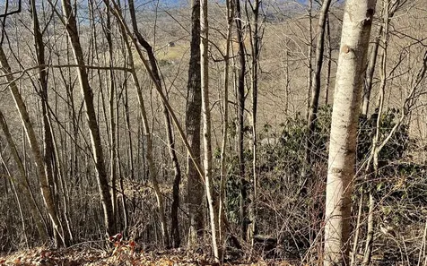 Lot 63 Dan Knob Hayesville NC 28904